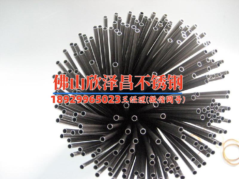 广东不锈钢盘管厂家